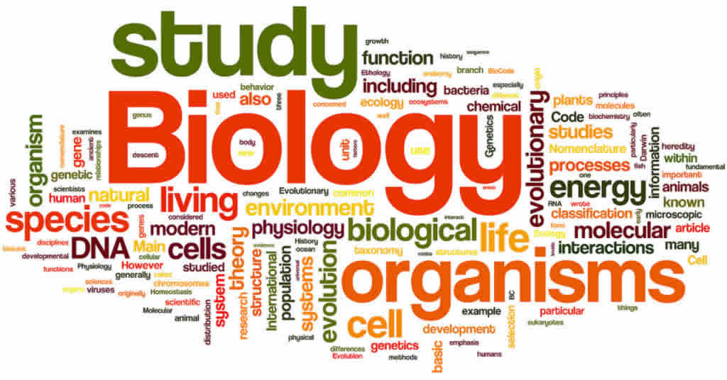 biology-tuition-sg